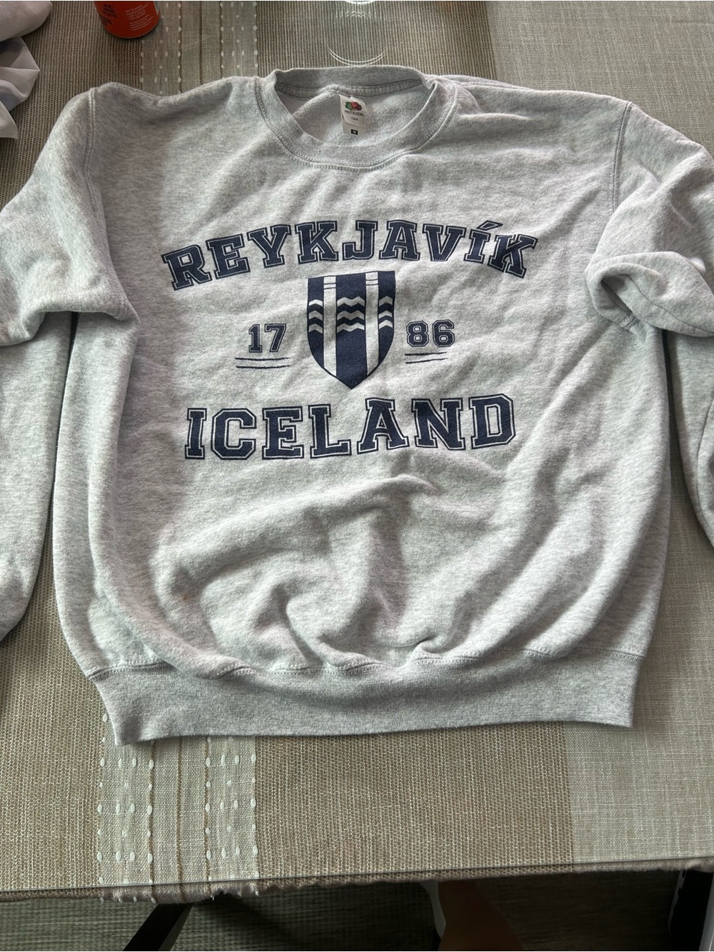 Fruit of the Loom Reykjavik Iceland Crewneck Sweatshirt - Light Gray/Navy